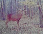 1022181018-1.jpg