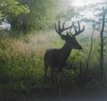 1022181045-1.jpg