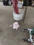 IMG_20181026_135522.jpg