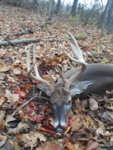 20181110_170246.jpg