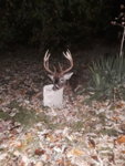 20181110_215727.jpg
