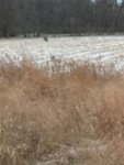 54E4DE53-B612-4007-92ED-C982C139D124.jpeg