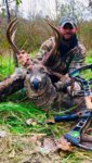 2018 deer.JPG