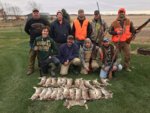 bunnies thanksgiving 18.jpg
