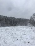 IMG_3226.jpg