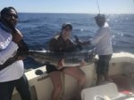 Kristi's Marlin 2018.jpg
