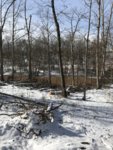 490EC54B-0529-407D-BD58-75BD219FA5A2.jpeg