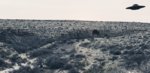 20190223_065359.jpg