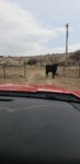 20190219_130941.jpg