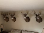 4 bucks.jpg