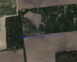 corn_soybean_edge.JPG