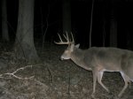 Big body 8.jpg