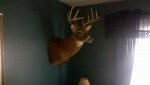 2011-03-29_18-11-12_996.jpg