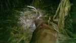 2010-11-08_20-30-24_774.jpg