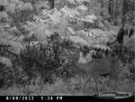 cdy_0017.jpg