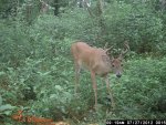 JROD 006.jpg