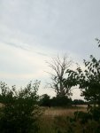 ImageUploadedByTapatalk1346010231.191287.jpg