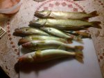 IMG-20120715-00192.jpg