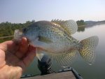 Paint-20120830-00346.jpg