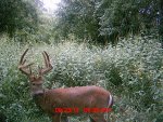 MDGC0032.jpg