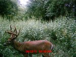 MDGC0031.jpg