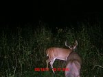 MDGC0039.jpg