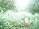 MDGC0039.jpg
