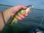 IMG-20120902-00357.jpg