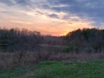 20190410_195508.jpg