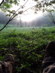 20190428_070149.jpg