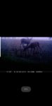 Screenshot_20190619-113116_USB Media Explorer.jpg