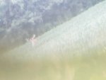 20190723_194103.jpg