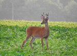 DSCN2716.jpg
