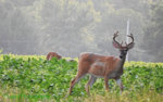 DSCN2717.jpg