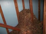 DSCF0730.JPG