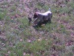 Madison-20120910-00370.jpg