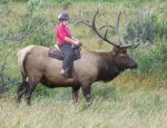 kid-riding-elk.jpg