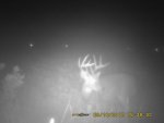 cahty's sept 2nd - 16th 2012 320.jpg