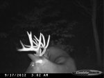 cdy_0036.jpg