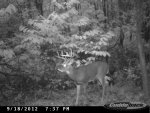 cdy_0051.jpg