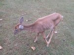 IMG_20120928_150158.jpg