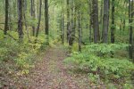 DSC00195.jpg