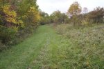DSC00237.jpg
