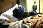 Cookie-monster-bedtime.jpg Cookie-monster-bedtime.jpg