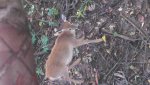 IMG_20120930_094122_981.jpg