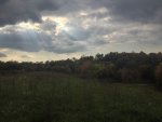 ImageUploadedByTapatalk1349393356.064309.jpg