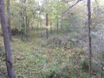 IMG_20121005_085236.jpg