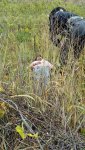 2012-10-06_13-55-54_777.jpg
