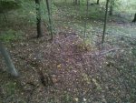 IMG_20121007_085446.jpg