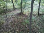 IMG_20121007_085502.jpg